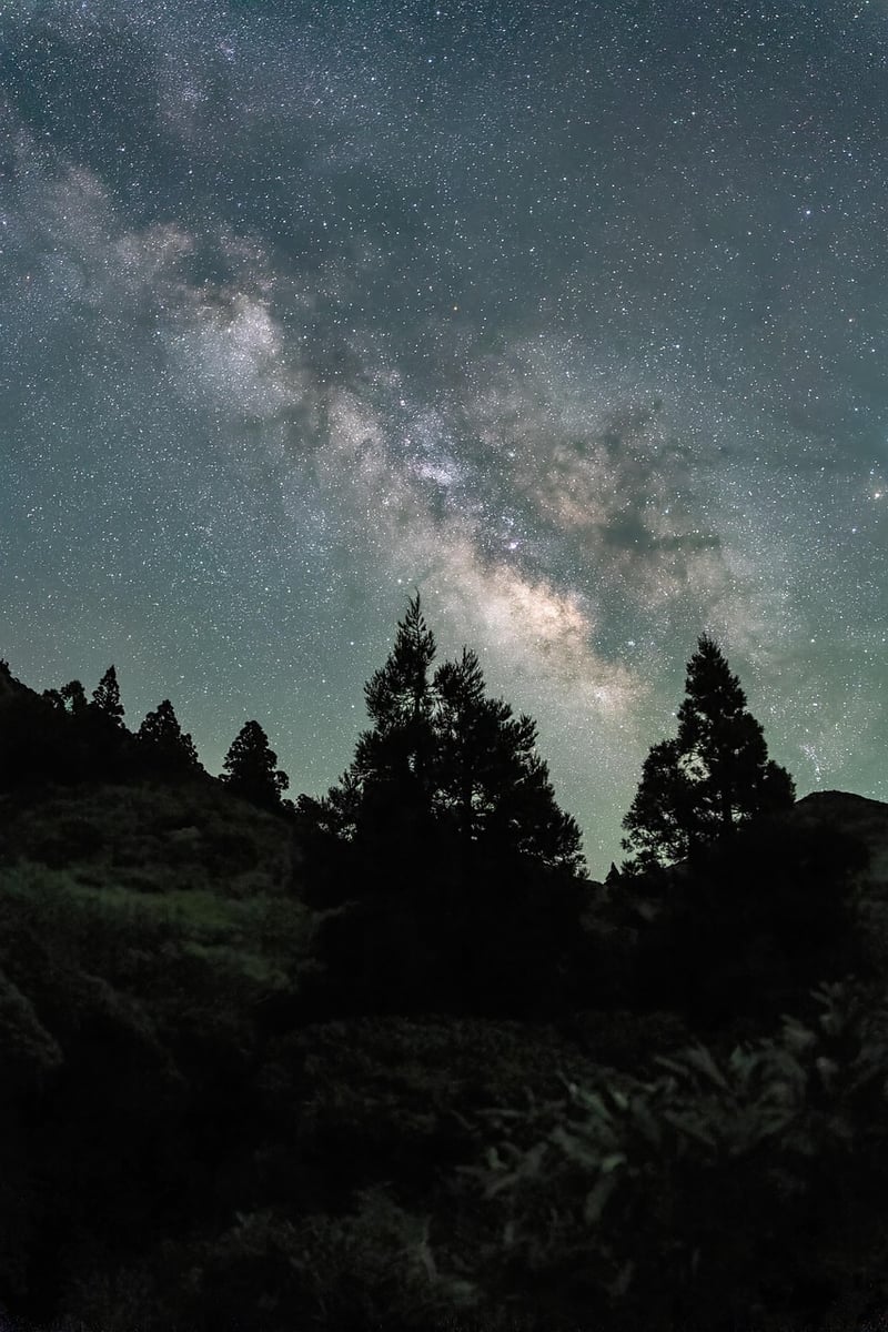 Starry Night Sky in Treehouse