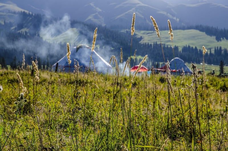 Mountain yurt